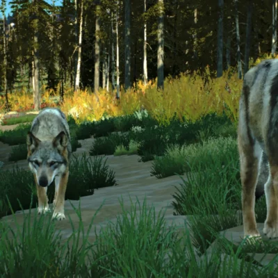 Way of the Hunter Wild America android