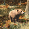 Way of the Hunter Wild Europe Android Screenshot