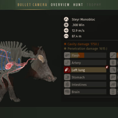 Way of the Hunter Wild Europe Android Screenshot 4