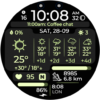 Chester Active WX Android Screenshot