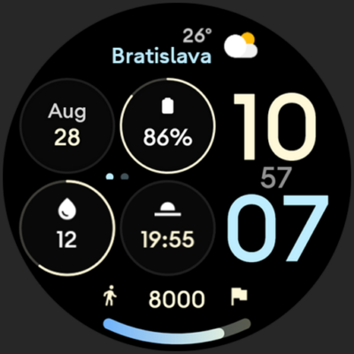 Control Dash: Watch face Android Screenshot