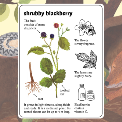 Little Mouse's Encyclopedia Android Screenshot 2