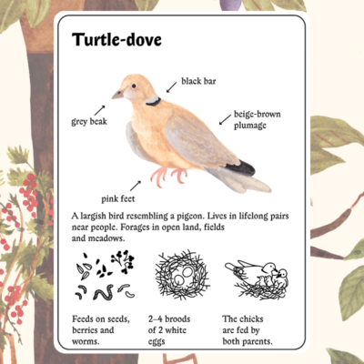 Little Mouse's Encyclopedia Android Screenshot 4